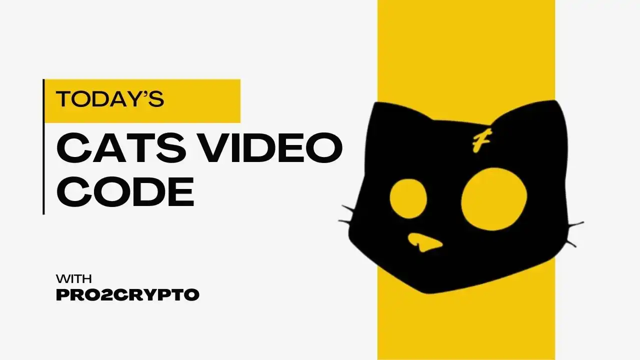 cat video code